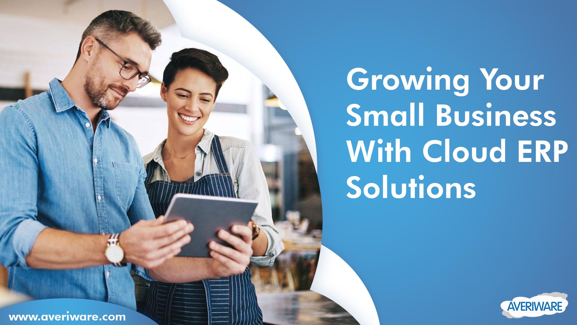Growing Your Small Business with Cloud ERP Solutions